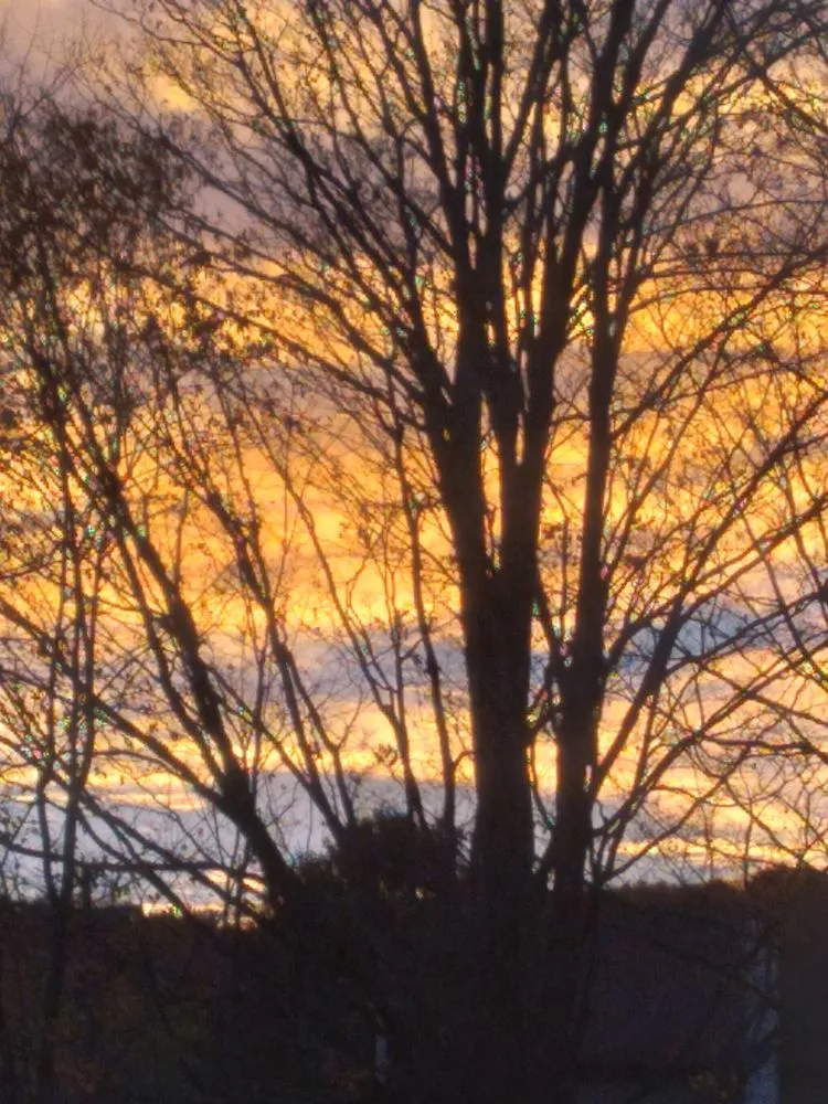 Expert landscape design in Berkshire, NY - DDK landscaping and Disposal