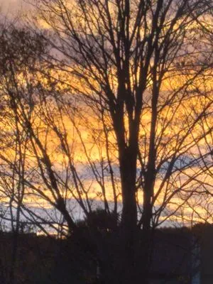 DDK landscaping and Disposal