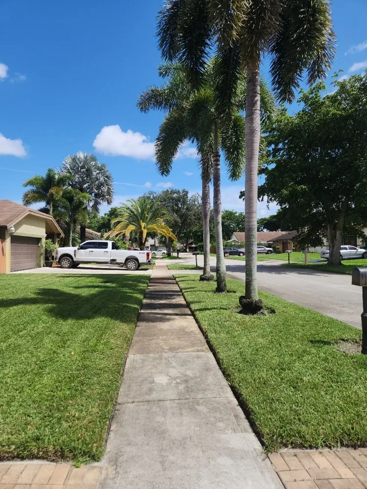 Top-rated landscape installation experts serving Plantation, FL - DDL Lawns
