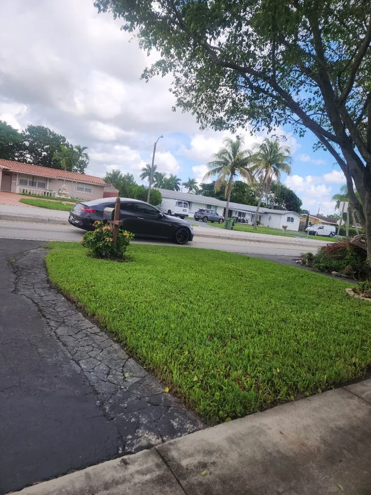 Trusted yard maintenance for residential properties in Plantation, FL by DDL Lawns