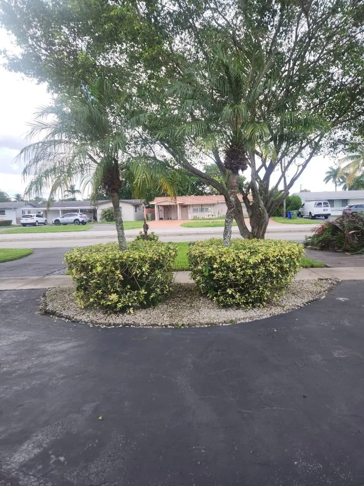 Reliable lawn mowing service for homes in Plantation, FL by DDL Lawns