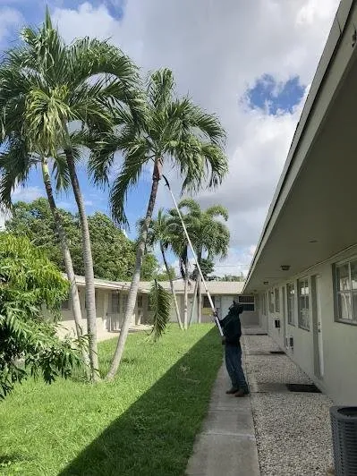 Reliable lawn mowing service in Plantation, FL - DDL Lawns