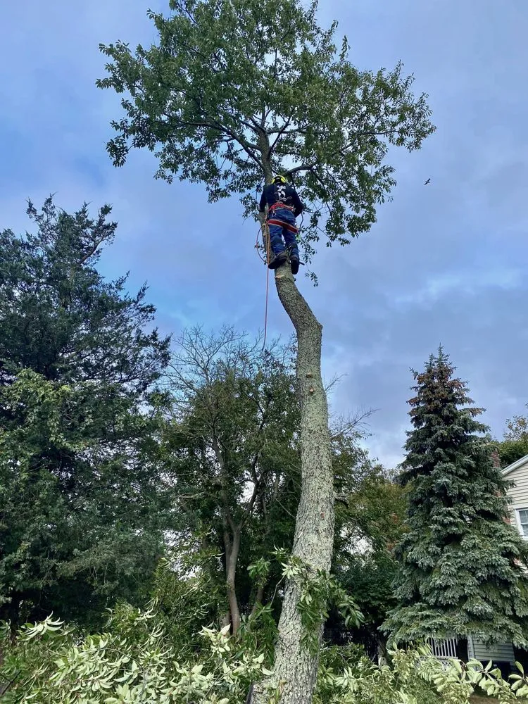 Custom landscape design experts serving Port Jefferson Station, NY - DDL Ramírez Landscaping