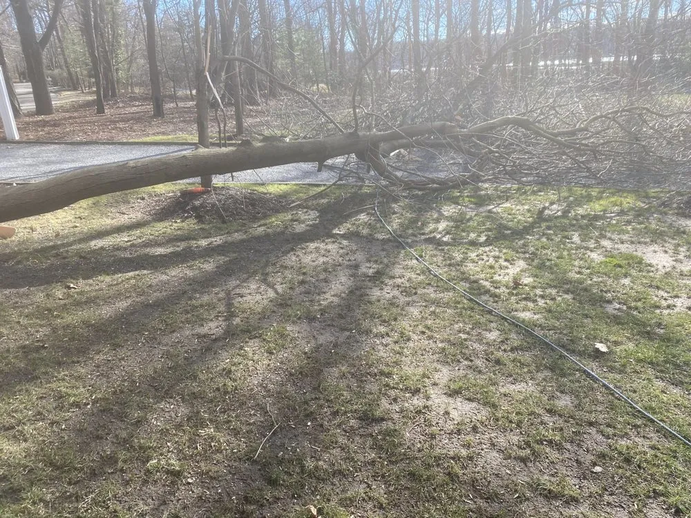 Local lawn mowing service with custom design across Port Jefferson Station, NY - DDL Ramírez Landscaping