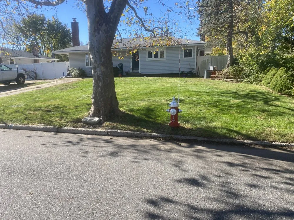 Trusted yard maintenance experts serving Port Jefferson Station, NY - DDL Ramírez Landscaping