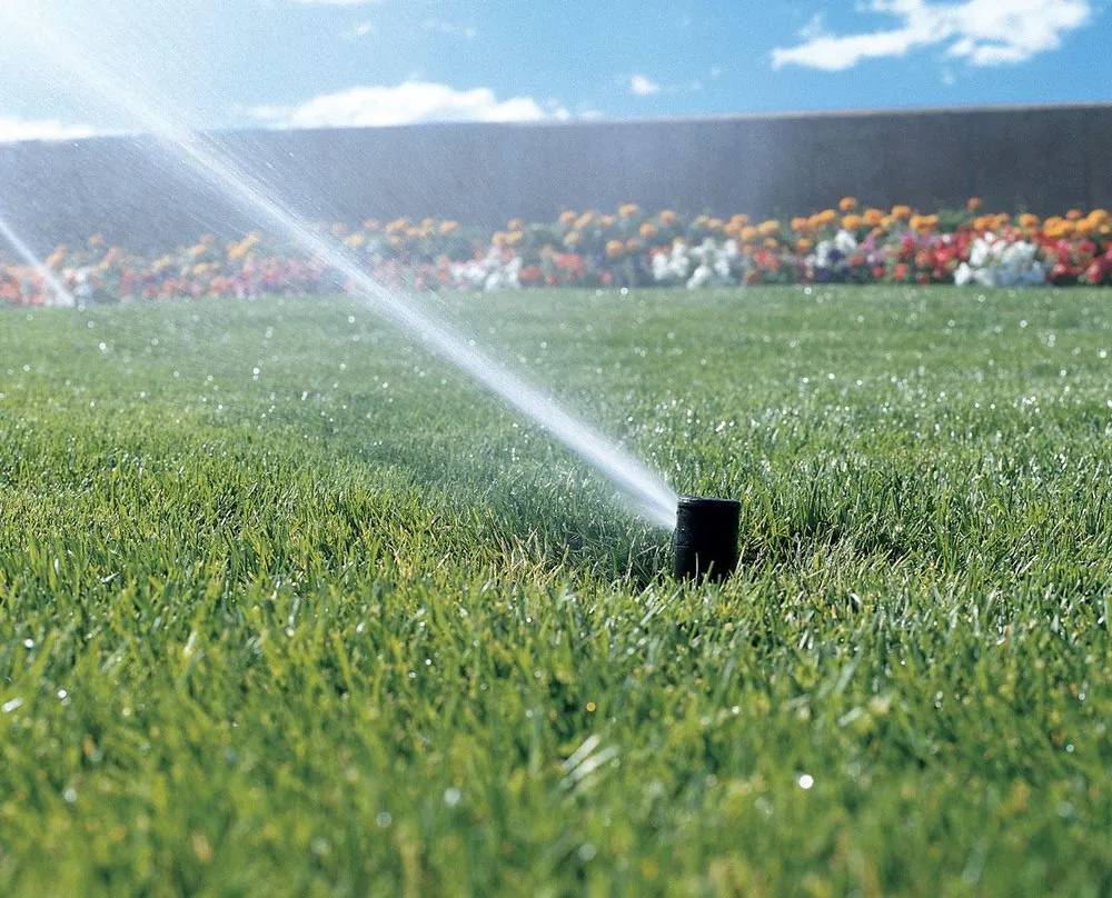 Local garden landscaping for beautiful yards in Marion, IA by DDM Landscape & Irrigation