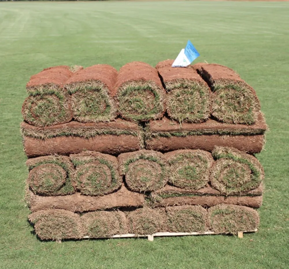 Local outdoor landscaping in Conway, AR by DDS Arkansas