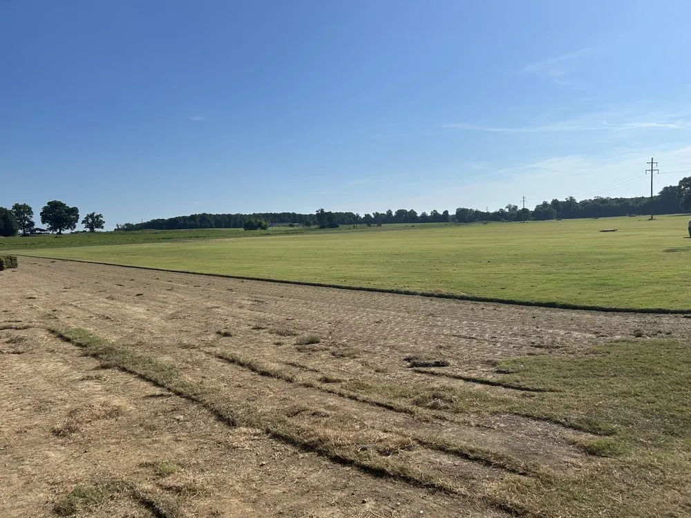 Affordable yard cleanup service for outdoor upgrades in Conway, AR by DDS Arkansas