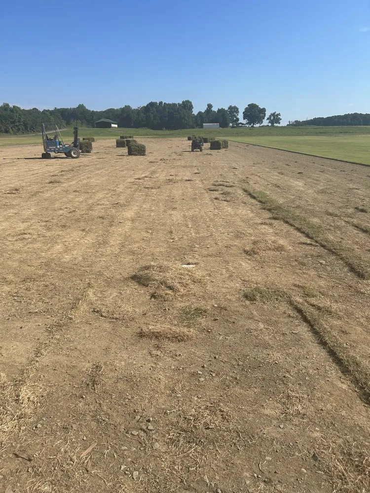 Reliable lawn care service in Conway, AR by DDS Arkansas