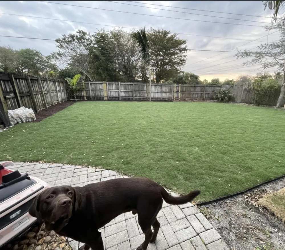 Expert lawn care service for outdoor upgrades in Conway, AR by DDS Arkansas