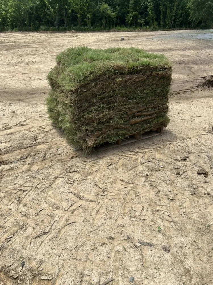 Top-rated yard maintenance in Conway, AR by DDS Arkansas