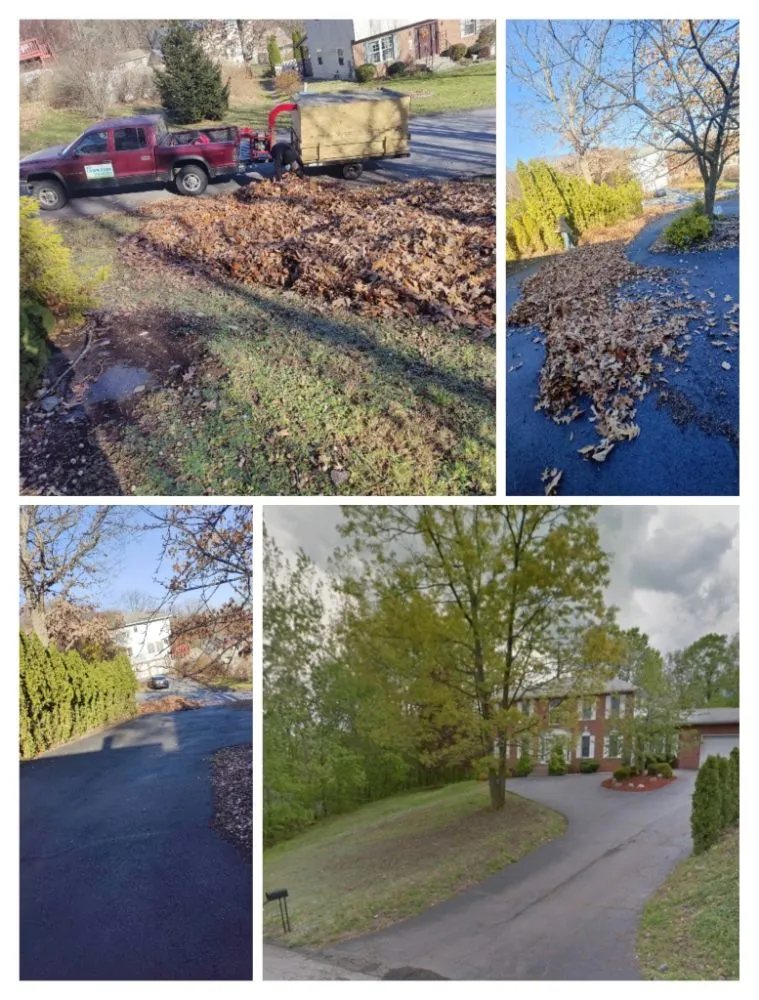 Custom landscaping services near you across Dalton, PA - DD's Lawn Care and Home Maintenance