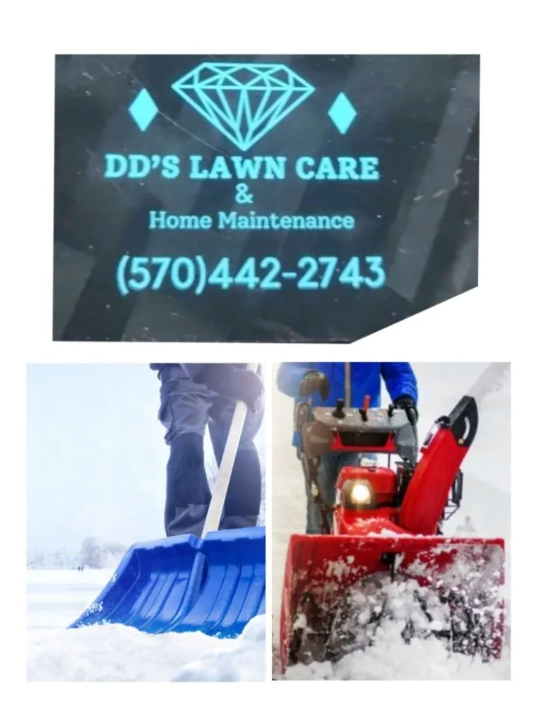 Reliable yard maintenance experts serving Dalton, PA - DD's Lawn Care and Home Maintenance