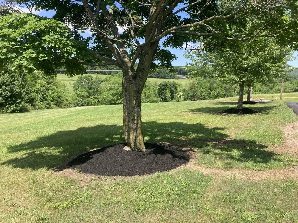 Local landscaping services in Halifax, PA by Dds Outdoors
