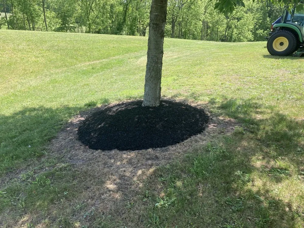 Expert yard cleanup service in Halifax, PA by Dds Outdoors