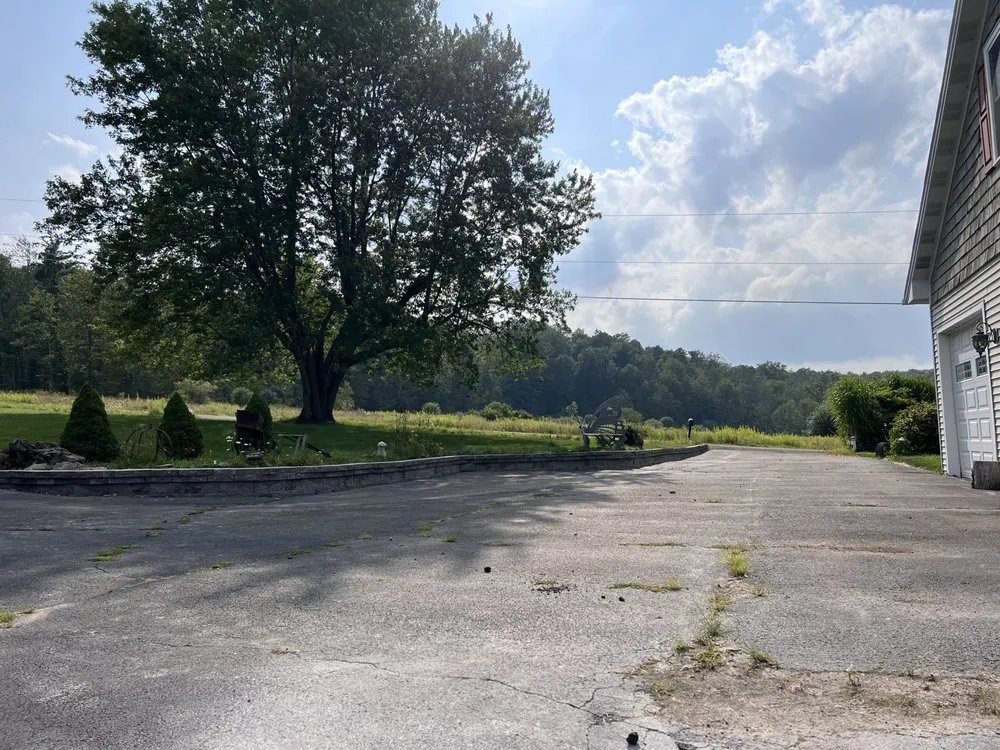 Reliable yard cleanup service for beautiful yards across Big Flats, NY - DDS Services