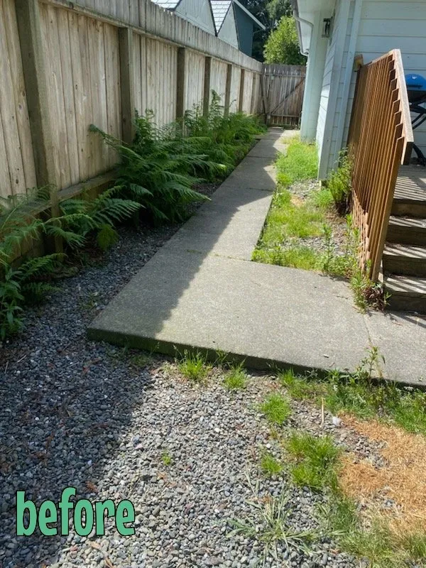 Affordable lawn care service for residential properties in Loleta, CA by DDY Lawn Care Services