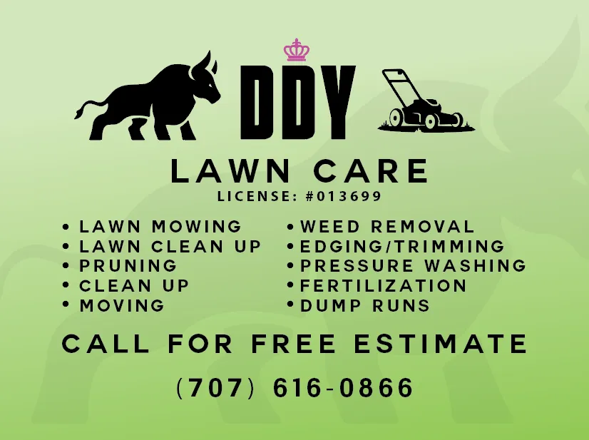 Expert yard cleanup service for residential properties in Loleta, CA by DDY Lawn Care Services