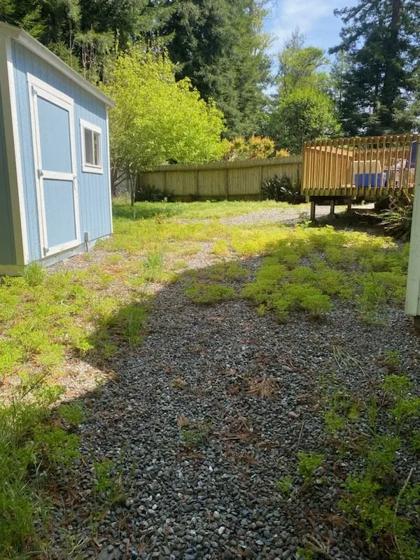 Top-rated landscape design for year-round maintenance in Loleta, CA by DDY Lawn Care Services
