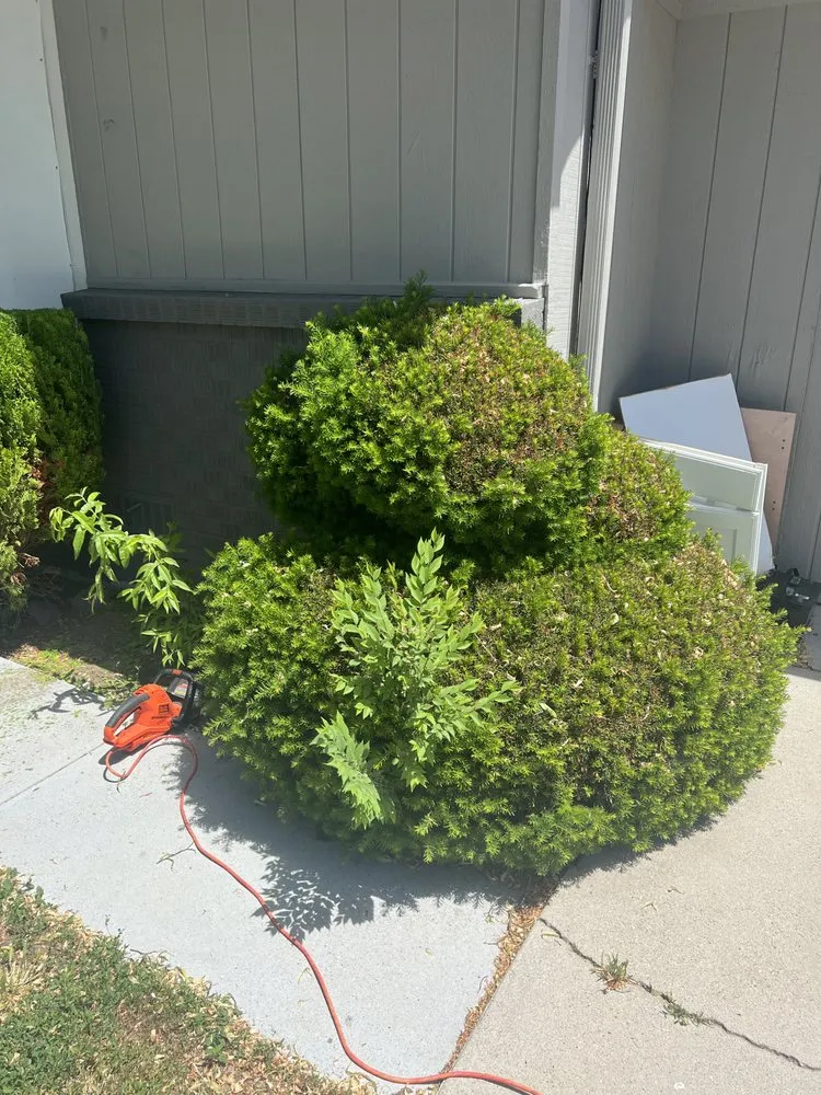 Trusted yard cleanup service for residential properties in Caldwell, ID by D&E Cleaning Services