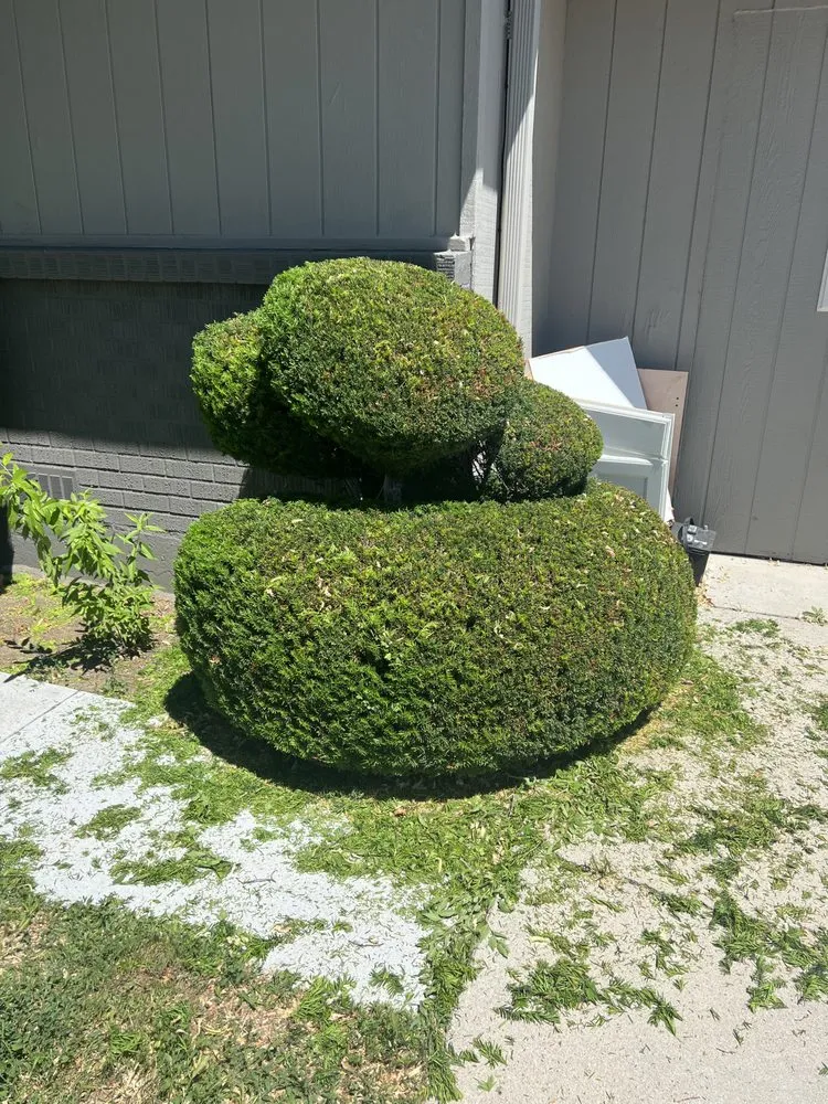 Reliable yard cleanup service in Caldwell, ID - D&E Cleaning Services