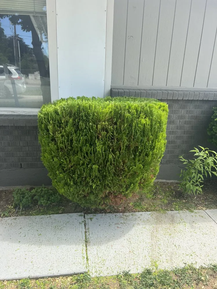 Reliable landscaping services in Caldwell, ID - D&E Cleaning Services