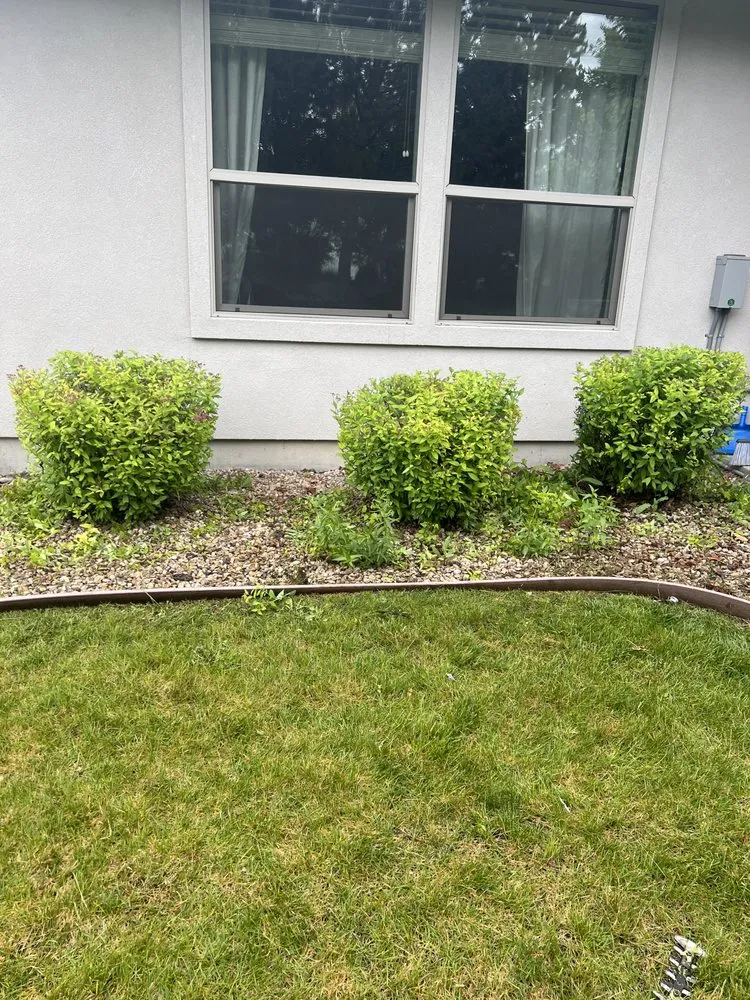 Custom lawn mowing service in Caldwell, ID - D&E Cleaning Services