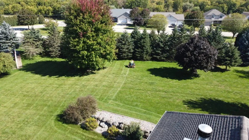 Custom yard cleanup service experts serving Madison, WI - DE Green Ideas
