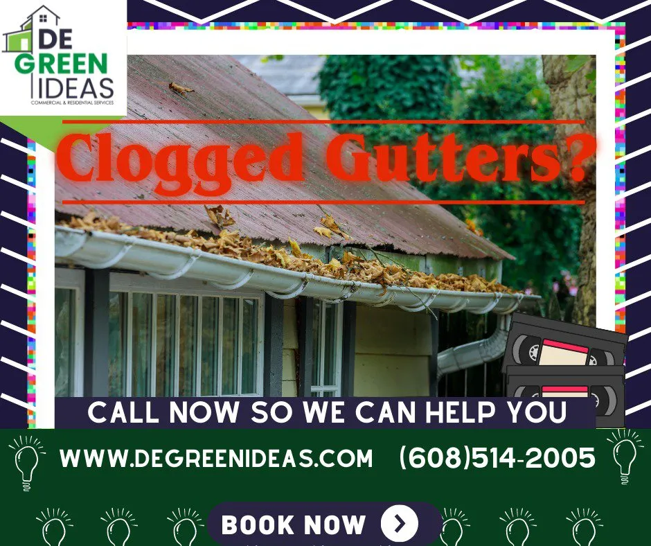 Custom landscaping services near you in Madison, WI by DE Green Ideas