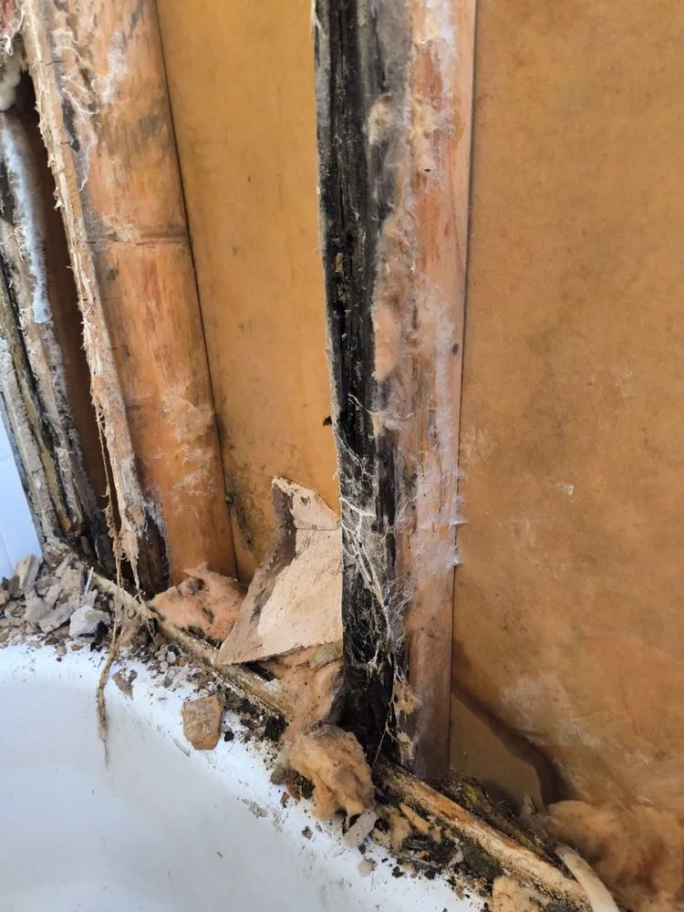 Professional outdoor landscaping in Norwich, CT by D&E Home Improvements