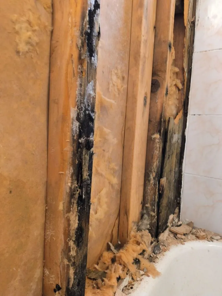 Top-rated residential landscaping experts serving Norwich, CT - D&E Home Improvements