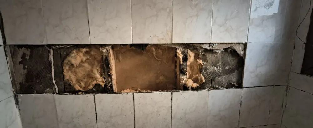 Reliable landscaping services for year-round maintenance in Norwich, CT by D&E Home Improvements