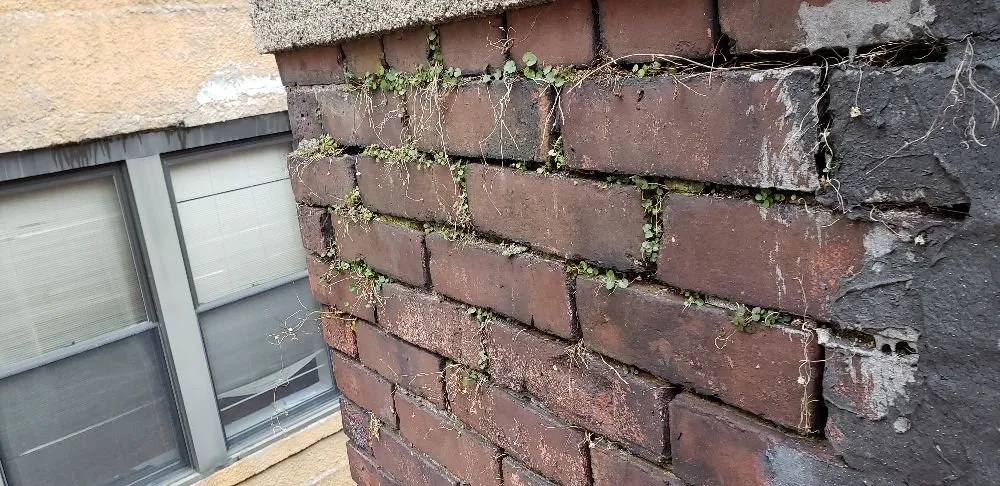 Custom residential landscaping experts serving Norwich, CT - D&E Home Improvements