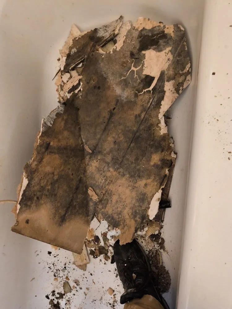 Custom lawn care service in Norwich, CT - D&E Home Improvements