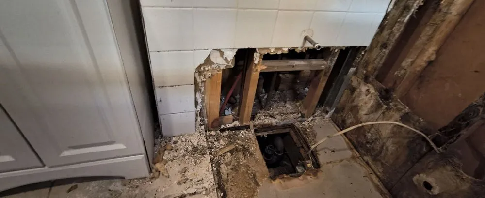 Trusted yard cleanup service for year-round maintenance in Norwich, CT by D&E Home Improvements