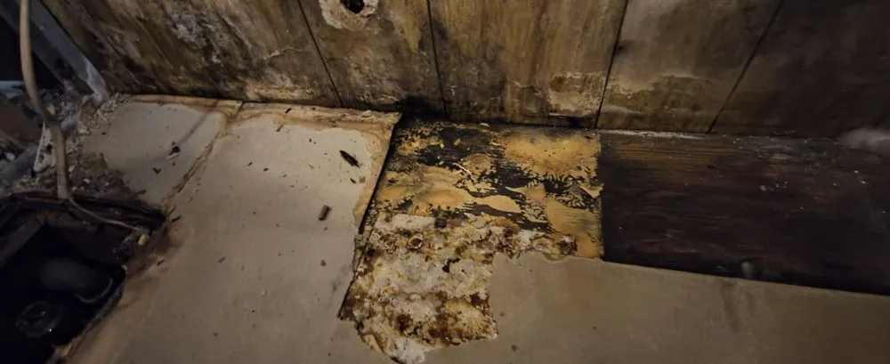 Local outdoor landscaping for homes across Norwich, CT - D&E Home Improvements