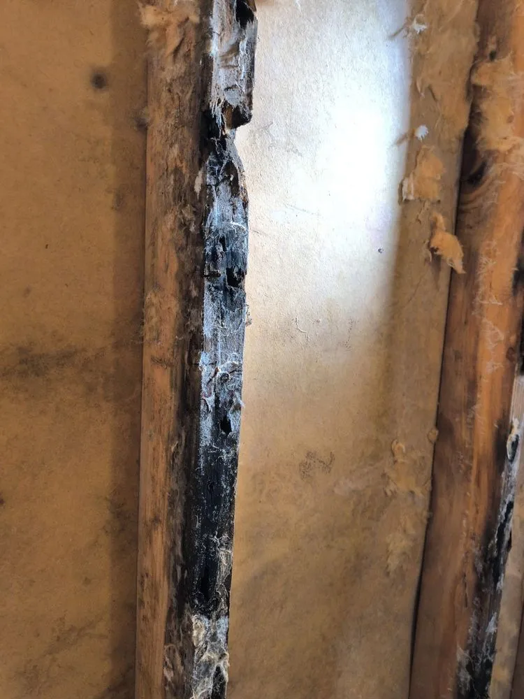 Local lawn mowing service with custom design in Norwich, CT by D&E Home Improvements