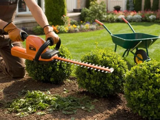 De Jesus Landscape Logo