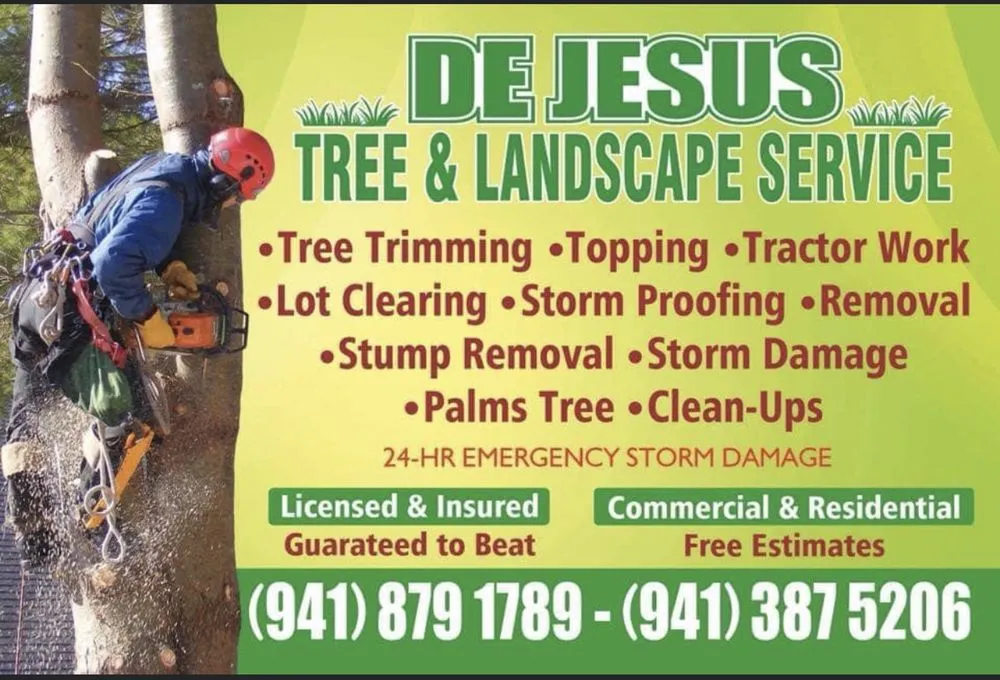 Reliable yard cleanup service in Sarasota, FL by De Jesus Tree And Landscape Service