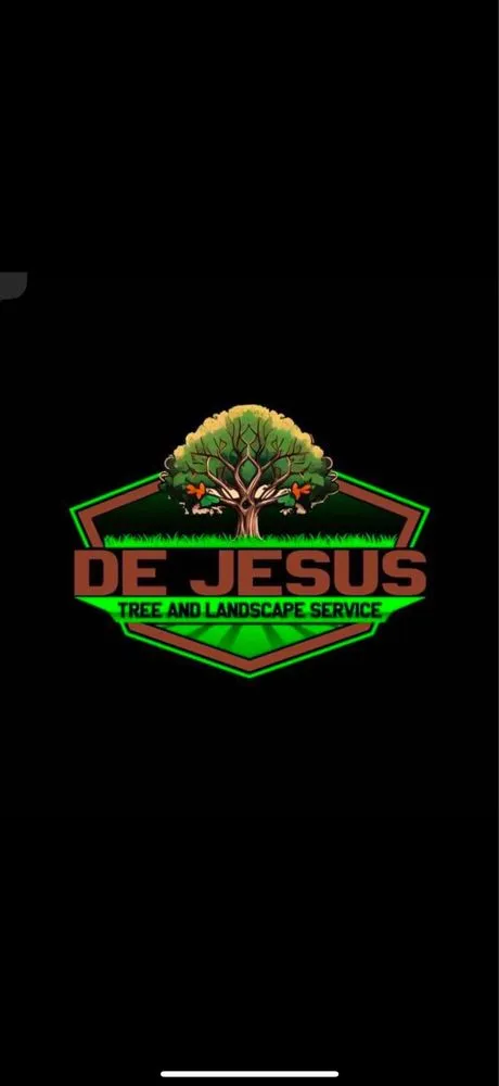 Professional yard cleanup service for residential properties across Sarasota, FL - De Jesus Tree And Landscape Service