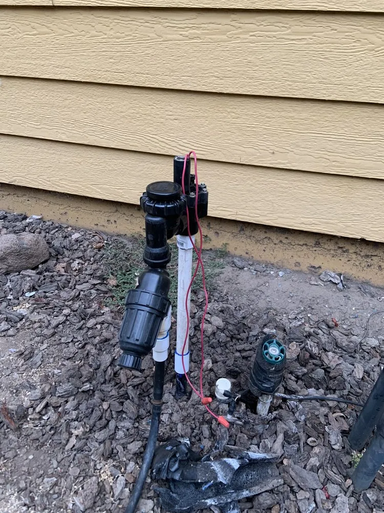 Top-rated landscape design in Chico, CA - De Jong Irrigation