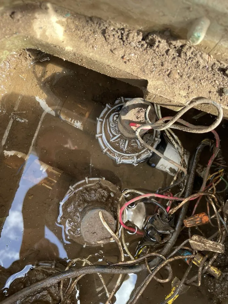 Trusted yard cleanup service for beautiful yards across Chico, CA - De Jong Irrigation