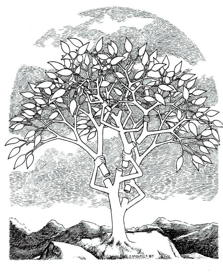 Local lawn mowing service in Novato, CA by De Jong Irrigation