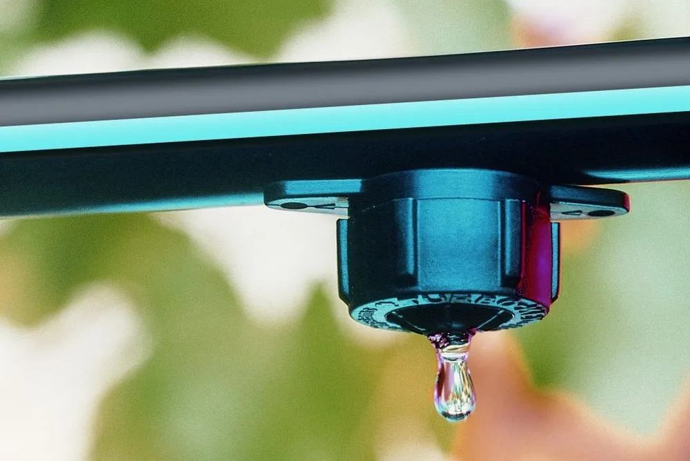 Trusted yard maintenance experts serving Novato, CA - De Jong Irrigation