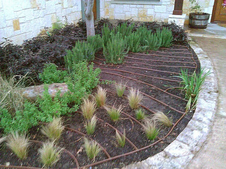 Affordable landscaping services for beautiful yards across Novato, CA - De Jong Irrigation