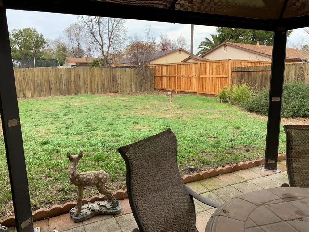 Affordable landscaping services for beautiful yards in Sacramento, CA by De la Cruz Bernal Landscaping