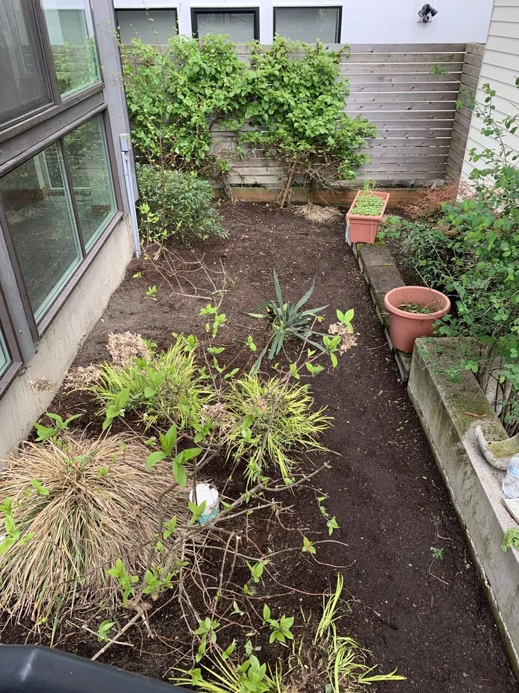 Trusted yard maintenance for outdoor upgrades across Bellevue, WA - De La Cruz Landscaping