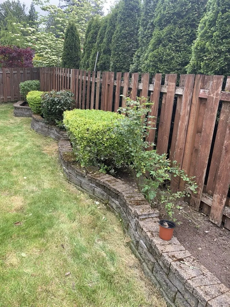 Top-rated landscaping services in Bellevue, WA - De La Cruz Landscaping