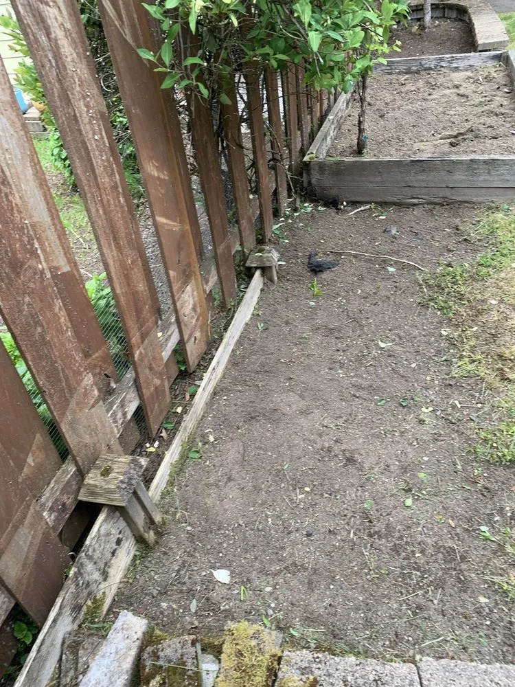 Expert residential landscaping with custom design in Bellevue, WA by De La Cruz Landscaping