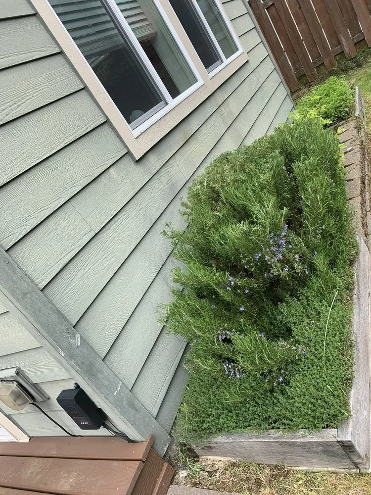 Reliable lawn mowing service in Bellevue, WA by De La Cruz Landscaping